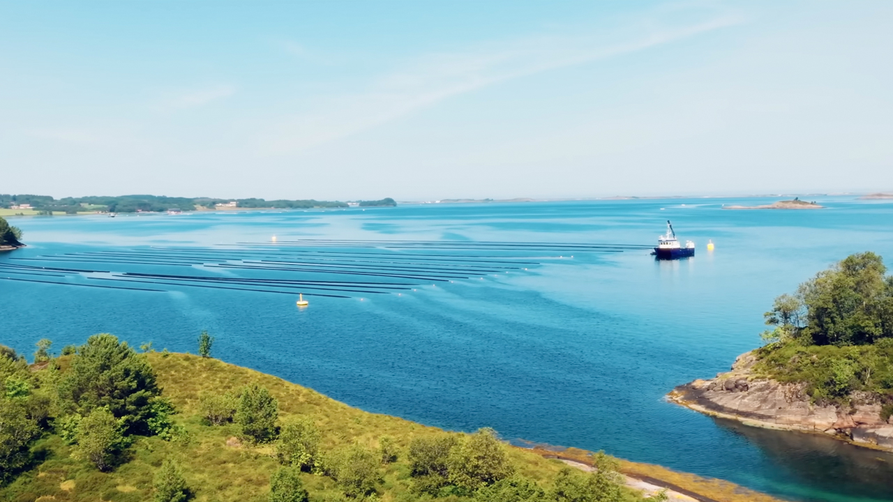 Bildet viser et flott sjøanlegg for tunikat-oppdrett i Hustadvika på Nordmøre